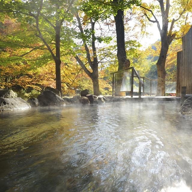 岩手/結びの宿 愛隣館/ペア1泊2食付