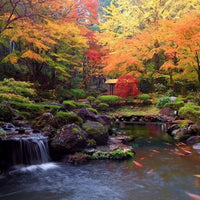 静岡/宙・ＳＯＲＡ 渡月荘金龍/2名様 日帰り入浴プラン≪食事なし・ウェルカムドリンク・お土産付≫