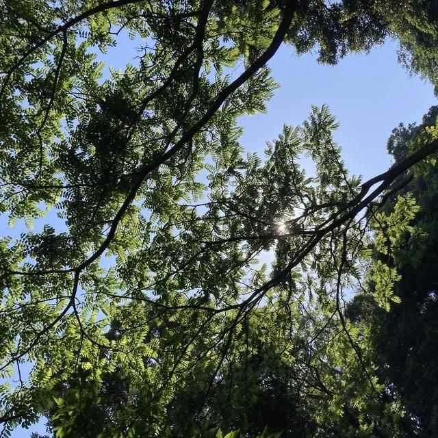 【3月～6月・9月～11月利用限定！！】三重/海島遊民くらぶ/2名様 ハイキングツアー≪昼食・シーグラスアクセサリー付≫