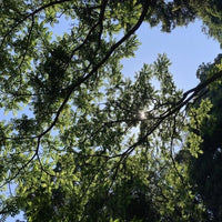 【3月～6月・9月～11月利用限定！！】三重/海島遊民くらぶ/2名様 ハイキングツアー≪昼食・シーグラスアクセサリー付≫