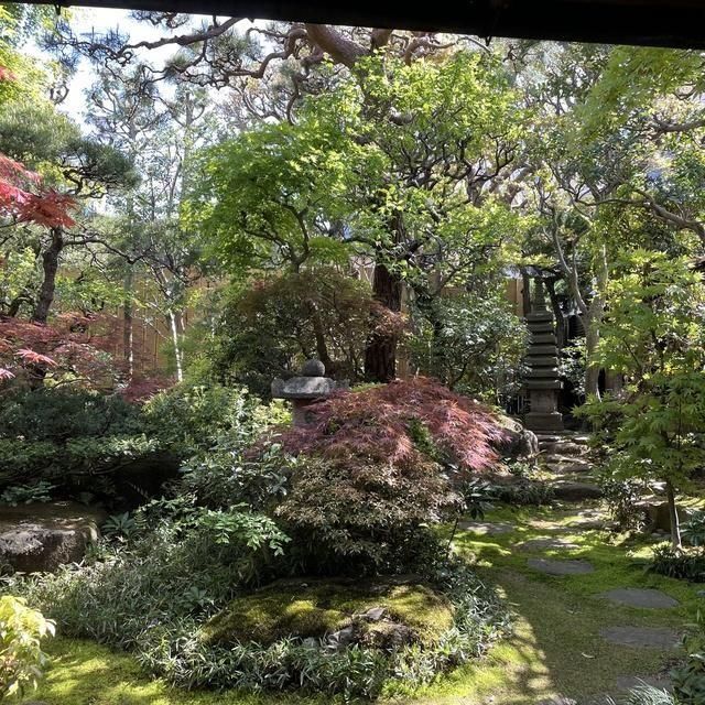 東京/桑都茶苑「獨楽庵」/2名様 茶道体験