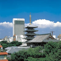 東京/THE DINING シノワ唐紅花＆鉄板フレンチ蒔絵 浅草ビューホテル/ペアディナープラン