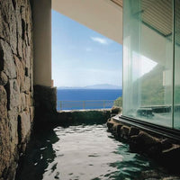 愛知/花乃丸/2名様 日帰り入浴（昼食付)