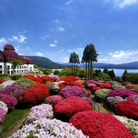 神奈川/フランス料理「ヴェル・ボワ」（小田急 山のホテル）/2名様ランチプラン≪フランス料理≫