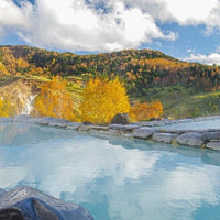 群馬/万座プリンスホテル/2名様 日帰り入浴≪昼食付≫