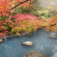 栃木/那須温泉山楽/ペア1泊2食付