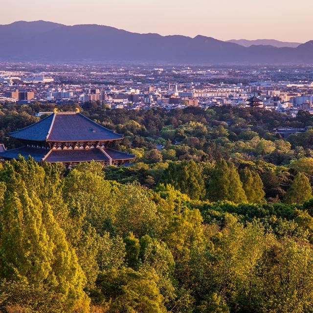 奈良/ANDOHOTEL奈良若草山～DLIGHT LIFE&HOTELS～/ペア1泊2食付