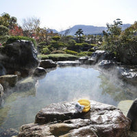 熊本/阿蘇プラザホテル/ペア1泊朝食付