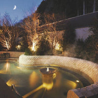 栃木/鬼怒川グランドホテル夢の季/ペア1泊2食付