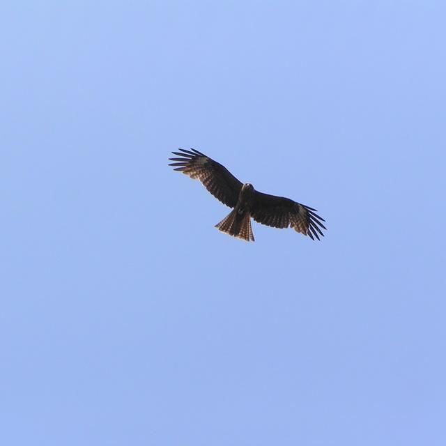 【3月～6月・9月～11月利用限定！！】三重/海島遊民くらぶ/2名様 ハイキングツアー≪昼食・シーグラスアクセサリー付≫