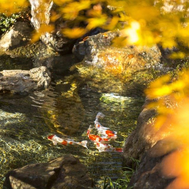 神奈川/雪月花別邸 翠雲（共立リゾート）/ペア1泊2食付