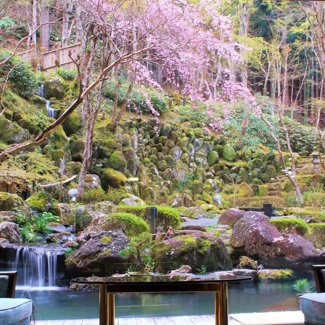 静岡/宙・ＳＯＲＡ 渡月荘金龍/2名様 日帰り入浴プラン≪昼食・ウェルカムドリンク付≫