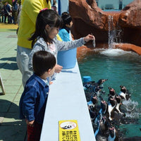 【ワクワクレジャーランド】愛知/南知多ビーチランド＆南知多おもちゃ王国/2名様 入園プラン☆2026年９月30日までの利用限定！