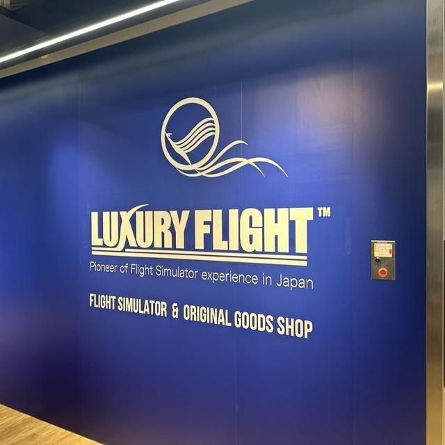 東京/LUXURY FLIGHT 羽田空港本店/2名様 フライトシミュレーター体験
