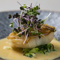 広島/LE UN NIPPONIA HOTEL 竹原 製塩町/【土日祝限定】2名様 ランチプラン