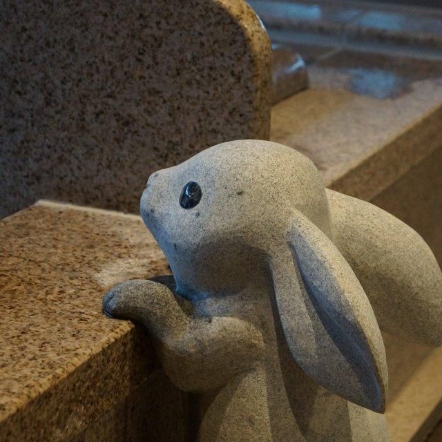 島根/お宿 月夜のうさぎ（共立リゾート）/ペア1泊2食付