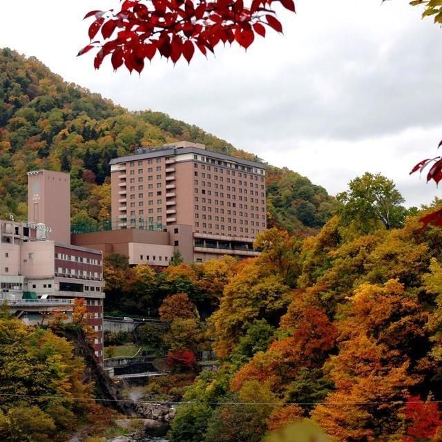北海道/定山渓万世閣ホテルミリオーネ/2名様 日帰り入浴