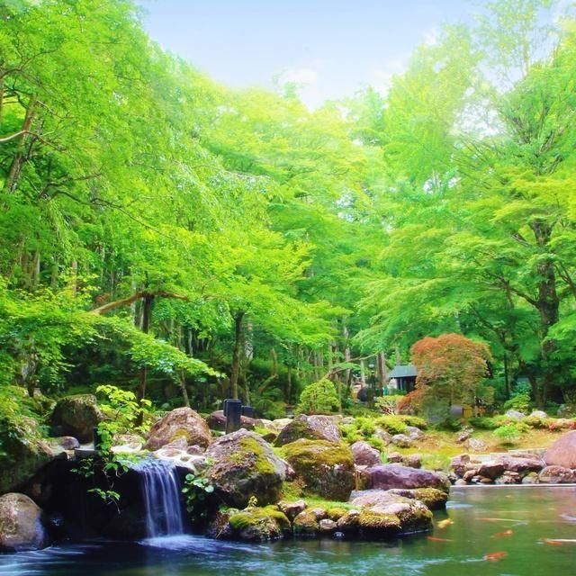 静岡/宙・ＳＯＲＡ 渡月荘金龍/2名様 日帰り入浴プラン≪昼食・ウェルカムドリンク付≫