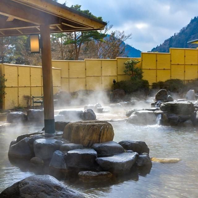 神奈川/箱根小涌園 ユネッサン/2名様 ユネッサン＋森の湯入場券