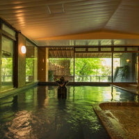 岐阜/下呂温泉山形屋/2名様 日帰り入浴≪昼食付≫