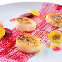 東京/アンティカ・オステリア・デル・ポンテ/2名様 ランチプラン≪イタリア料理≫