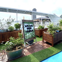 兵庫/神戸シーバス/ペア神戸港60分クルーズ乗船プラン≪アフタヌーンティーセット付≫