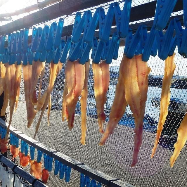 【3月～6月・9月～11月利用限定！！】三重/海島遊民くらぶ/2名様 ハイキングツアー≪昼食・シーグラスアクセサリー付≫