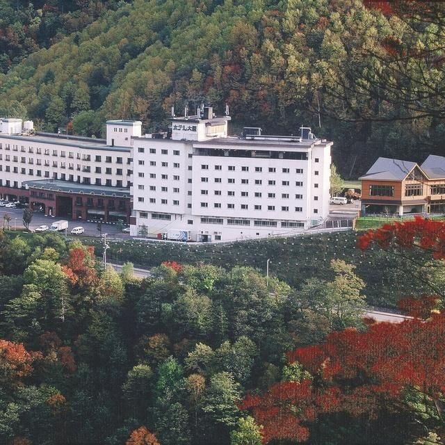 北海道/ホテル大雪 ONSEN ＆ CANYON RESORT/ペア1泊2