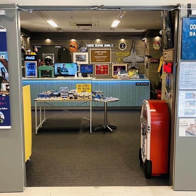 東京/LUXURY FLIGHT HICity Fighter店/2名様 戦闘機フライトシミュレーター体験