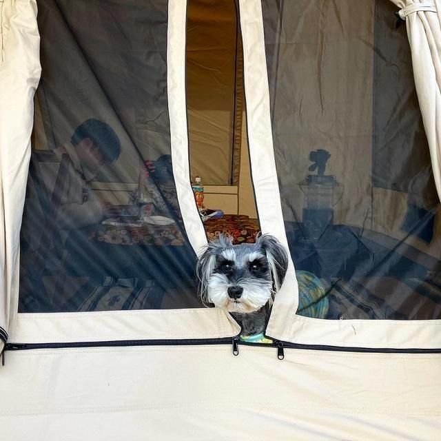 鳥取/DAISEN RESORT 沢田ベース/施設内利用券≪1,000円×7枚綴り≫