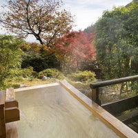 岐阜/滝元館遊季の里/ペア1泊2食付