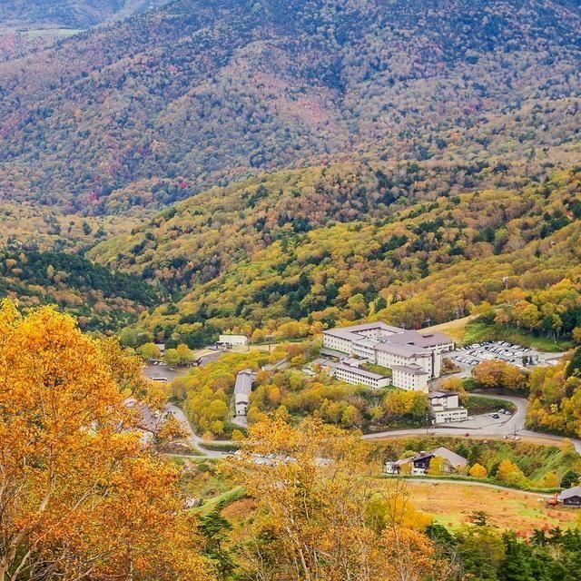 群馬/万座プリンスホテル/2名様 日帰り入浴≪昼食付≫