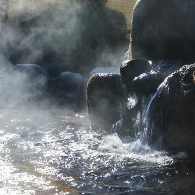 神奈川/箱根小涌園 ユネッサン/2名様 ユネッサン＋森の湯入場券