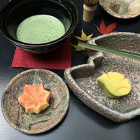 福島/曜変天目＆枯山水美術館/【春季】4～6月【秋季】10・11月限定！2名様 入館と庭園拝観≪抹茶・和菓子付≫＋サイン入り書籍