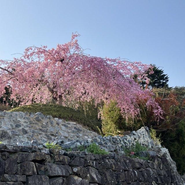 福島/曜変天目＆枯山水美術館/【春季】4～6月【秋季】10・11月限定！2名様 入館と庭園拝観≪抹茶・和菓子付≫＋サイン入り書籍