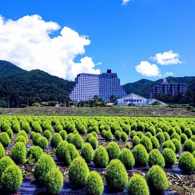 福島/ホテルリステル猪苗代ウイングタワー/2名様 日帰り入浴プラン≪昼食・C’ｓ入場券・ソフトドリンク※ブッフェ時ドリンクバー付≫