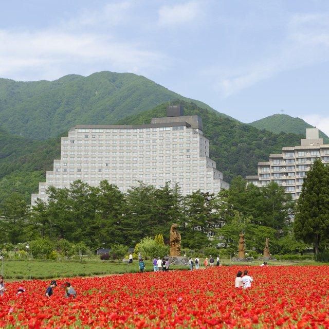 福島/ホテルリステル猪苗代ウイングタワー/2名様 日帰り入浴プラン≪昼食・C’ｓ入場券・ソフトドリンク※ブッフェ時ドリンクバー付≫