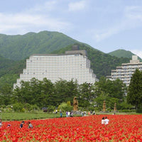 福島/ホテルリステル猪苗代ウイングタワー/2名様 日帰り入浴プラン≪昼食・C’ｓ入場券・ソフトドリンク※ブッフェ時ドリンクバー付≫