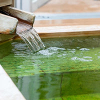 千葉/ホテル一宮シーサイドオーツカ/【月・火・木・金曜限定】2名様 日帰り入浴≪昼食付≫≪お部屋での休憩≫