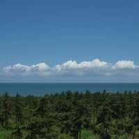 千葉/ホテル一宮シーサイドオーツカ/【月・火・木・金曜限定】2名様 日帰り入浴≪昼食付≫≪お部屋での休憩≫